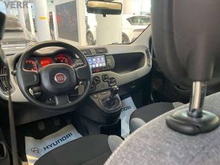FIAT Panda usata, con Regolazione elettrica sedili