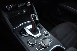 ALFA ROMEO Stelvio usata, con ESP