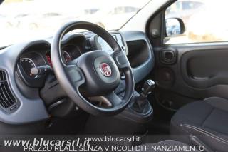 FIAT Panda usata 6