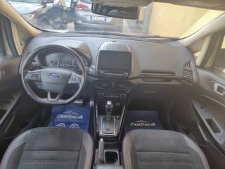 FORD EcoSport usata, con Airbag testa