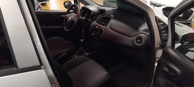 FIAT Punto usata 13
