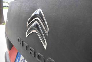 CITROEN C4 Cactus usata, con Airbag testa