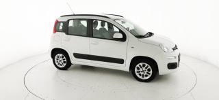 FIAT Panda usata 26