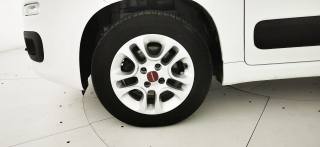 FIAT Panda usata 40
