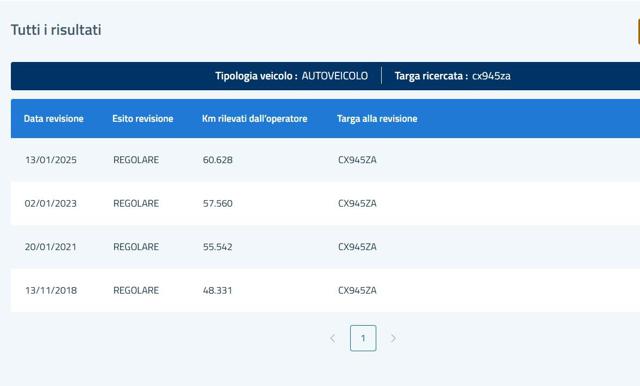 VOLKSWAGEN New Beetle usata 26