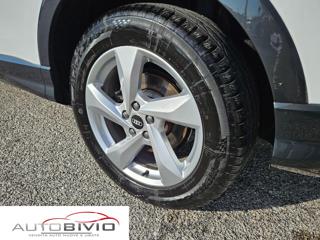 AUDI Q3 usata, con Park Distance Control