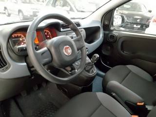 FIAT Panda usata, con Immobilizzatore elettronico