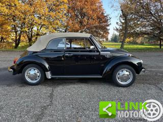 VOLKSWAGEN Maggiolone usata 3