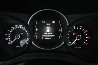 FIAT 500L usata 6