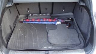 BMW X4 usata, con Fendinebbia