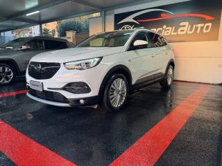 OPEL Grandland X usata, con Fendinebbia