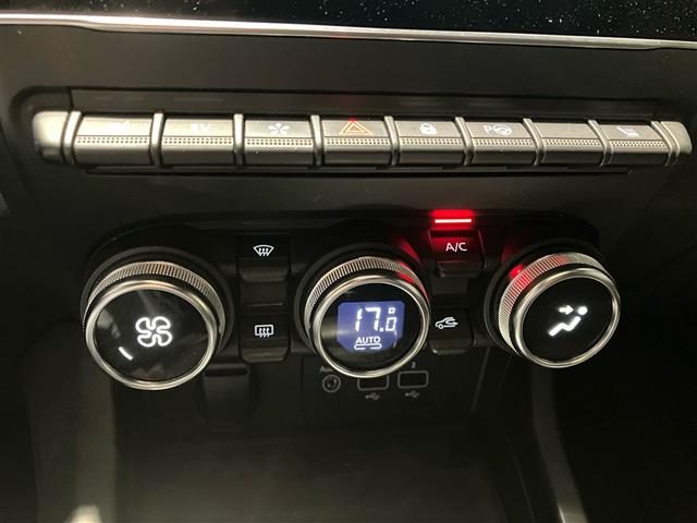 RENAULT Arkana usata 22