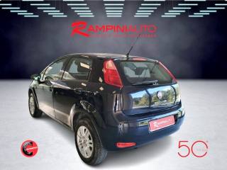 FIAT Punto usata 8
