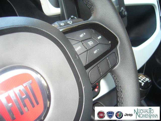 FIAT Panda Cross usata, con Vetri oscurati