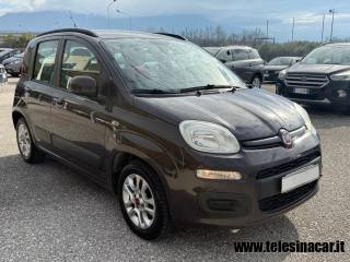 FIAT Panda usata 3