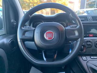 FIAT Panda usata, con Controllo trazione