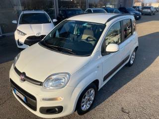 FIAT Panda usata 2