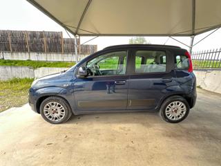 FIAT Panda usata, con Climatizzatore