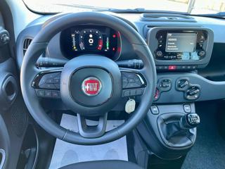 FIAT Panda usata, con Controllo vocale