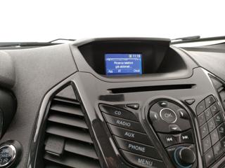 FORD EcoSport usata, con Fendinebbia