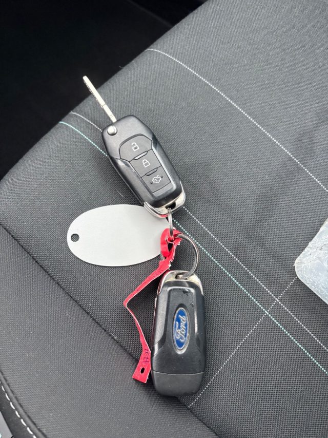 FORD Fiesta usata, con Luce d