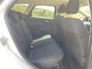 FORD Focus usata, con Vetri oscurati