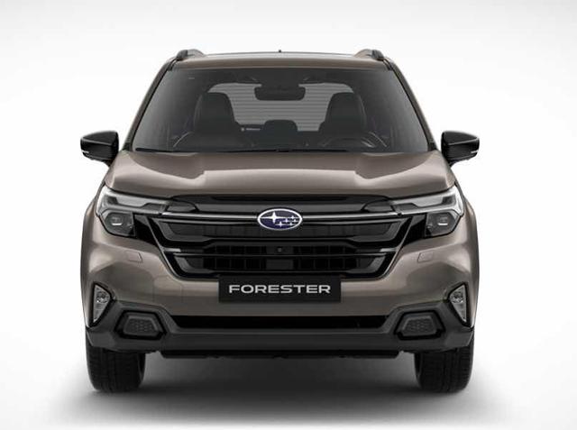 SUBARU Forester usata, con Airbag Passeggero