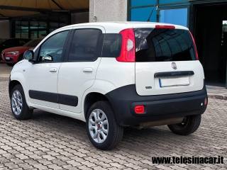 FIAT Panda usata, con ESP