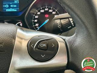 FORD C-Max usata, con Volante in pelle