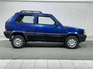 FIAT Panda usata 5