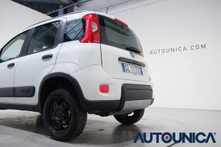 FIAT Panda usata 43