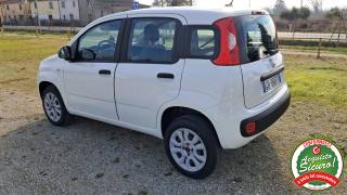 FIAT Panda usata, con Climatizzatore