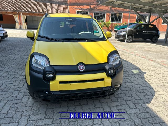 FIAT Pandina usata, con Climatizzatore