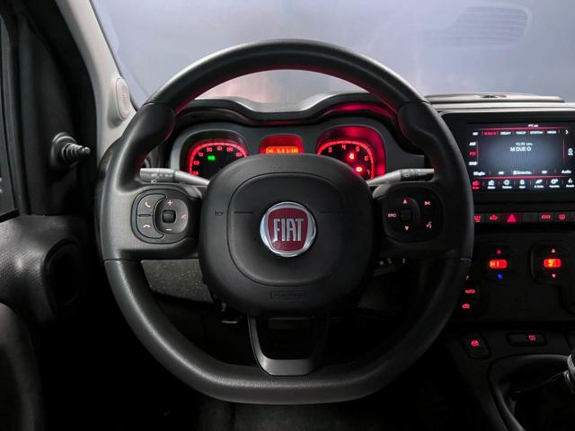 FIAT Panda Cross usata, con Controllo trazione
