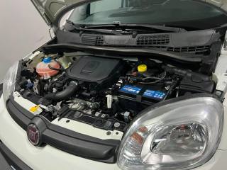 FIAT Panda usata, con Cronologia tagliandi