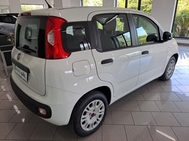 FIAT Panda usata, con USB