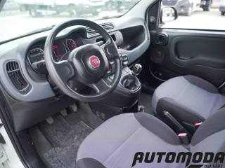 FIAT Panda usata 8