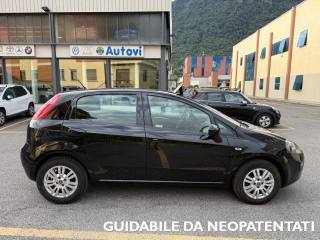 FIAT Punto usata, con Alzacristalli elettrici