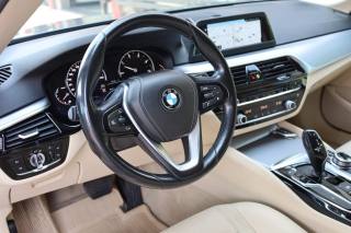 BMW 520 usata, con Vivavoce