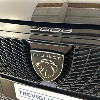 PEUGEOT 3008 usata, con Vivavoce