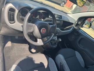 FIAT Panda usata, con MP3
