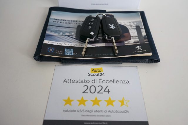 PEUGEOT 3008 usata 69