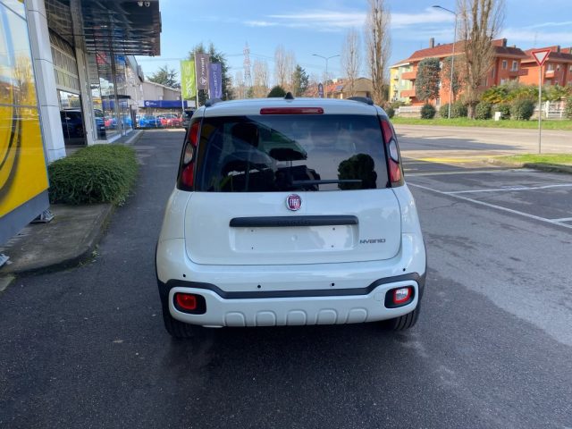 FIAT Panda Cross usata, con Alzacristalli elettrici