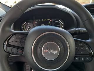 JEEP Renegade usata, con Cerchi in lega
