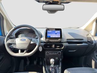 FORD EcoSport usata 11