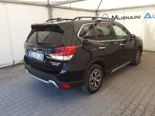 SUBARU Forester usata, con Gancio traino