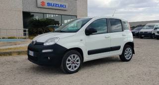 FIAT Panda usata, con Controllo trazione