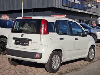 FIAT Panda usata, con Chiusura centralizzata