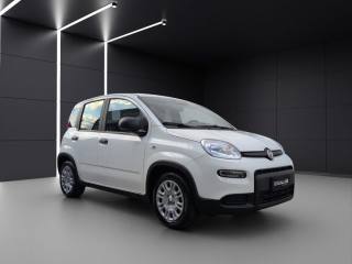 FIAT Panda usata, con Chiusura centralizzata