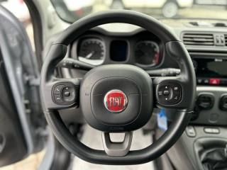 FIAT Panda usata, con Climatizzatore